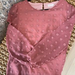 Sheer blouse. Lined. Blush color.